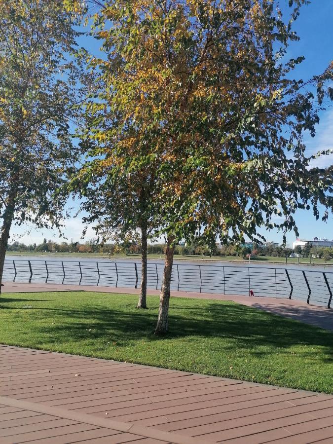 SajmisteBelgrade Waterfront Cozy Symphony 1アパートメント エクステリア 写真